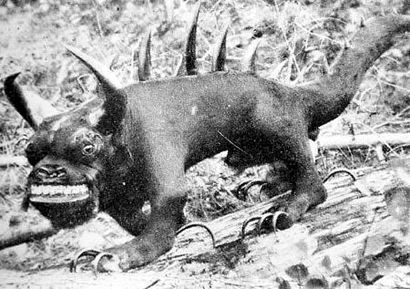 hodag1